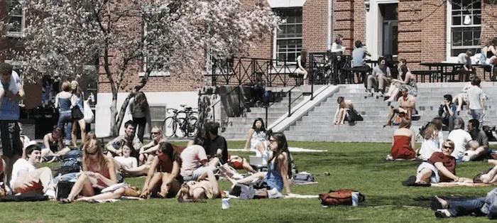 Navigating Social Life in a New College Environment